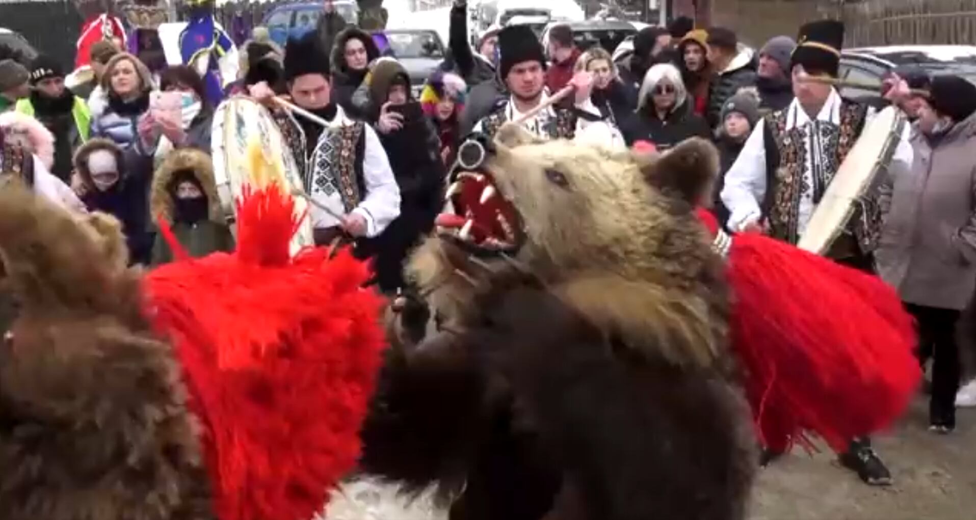 Rumania: personas participan en la danza de los osos