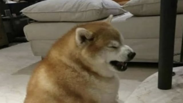 Memes Tecate Pal Norte 2026