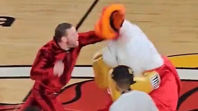 Conor McGregor noquea a mascota