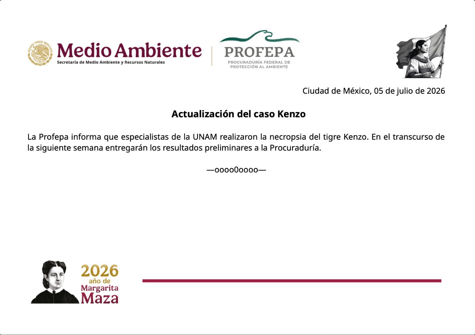 Comunicado de Profepa sobre necropsia por la UNAM para el tigre Kenzo.
