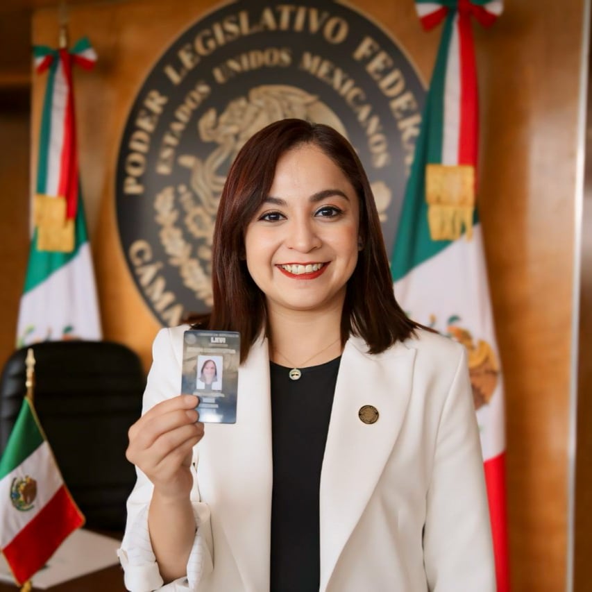 Iraís Reyes, Diputada del Movimiento Ciudadano
