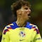 Salida de Robert Dante Siboldi de Tigres afectaría directamente al América; Igor Lichnovsky está involucrado