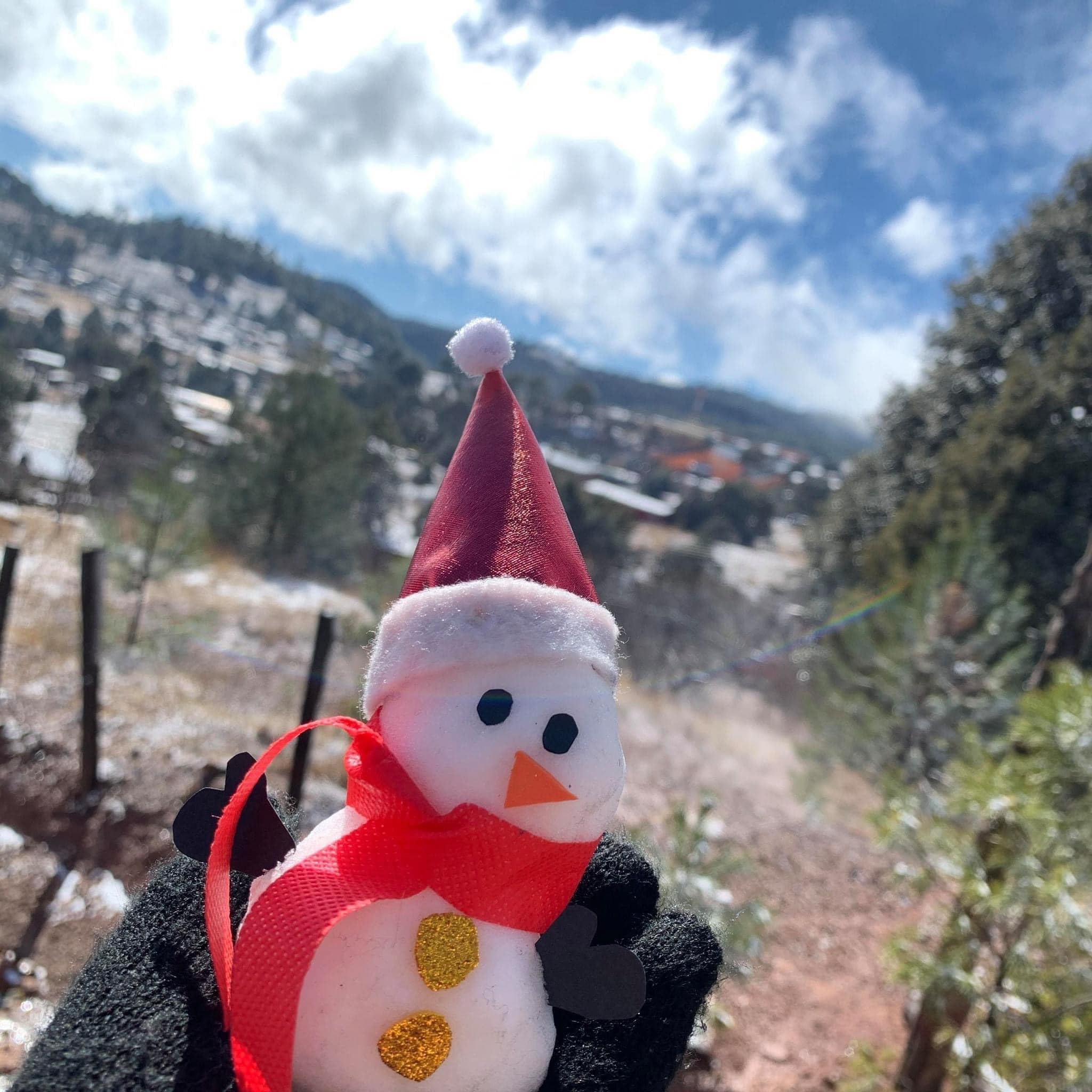 Las mejores fotos de la caída de nieve en Durango