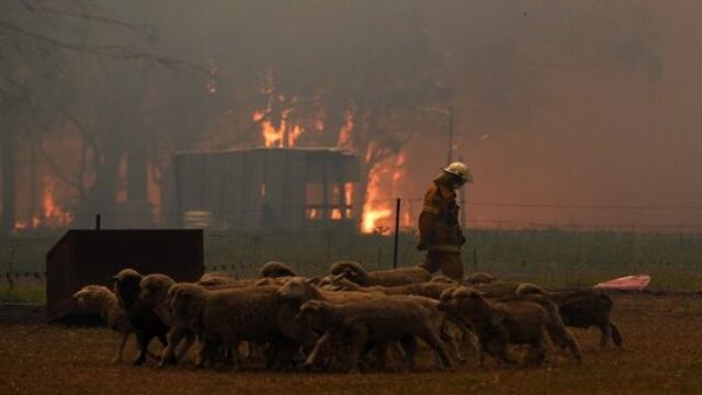 Incendios en Australia.