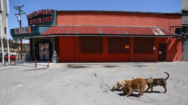 El restaurante de comida china llamado "Lo Yen City" cocinaba platillos con carne de perro