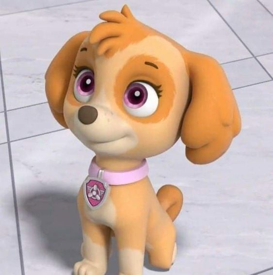 Skye de Paw Patrol es una Cocker Spaniel