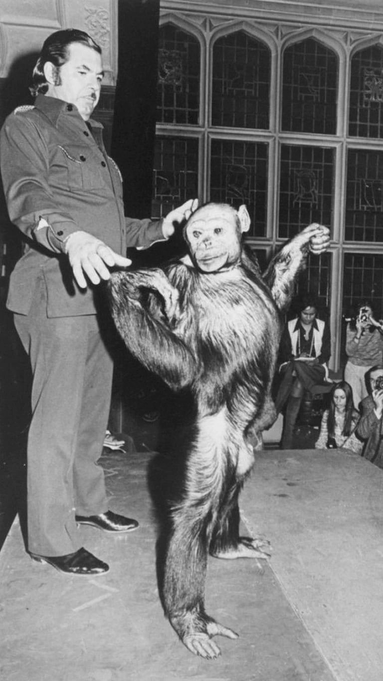 ¿Quién es Oliver? El supuesto eslabón perdido entre el hombre y el mono