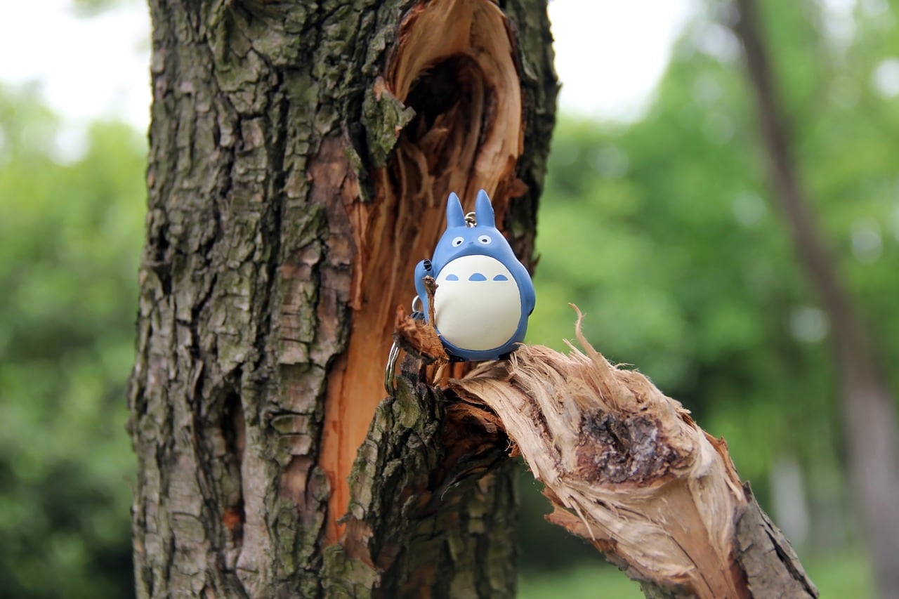 Lanzan campaña para preservar bosque que inspiró la película 'Mi vecino Totoro'