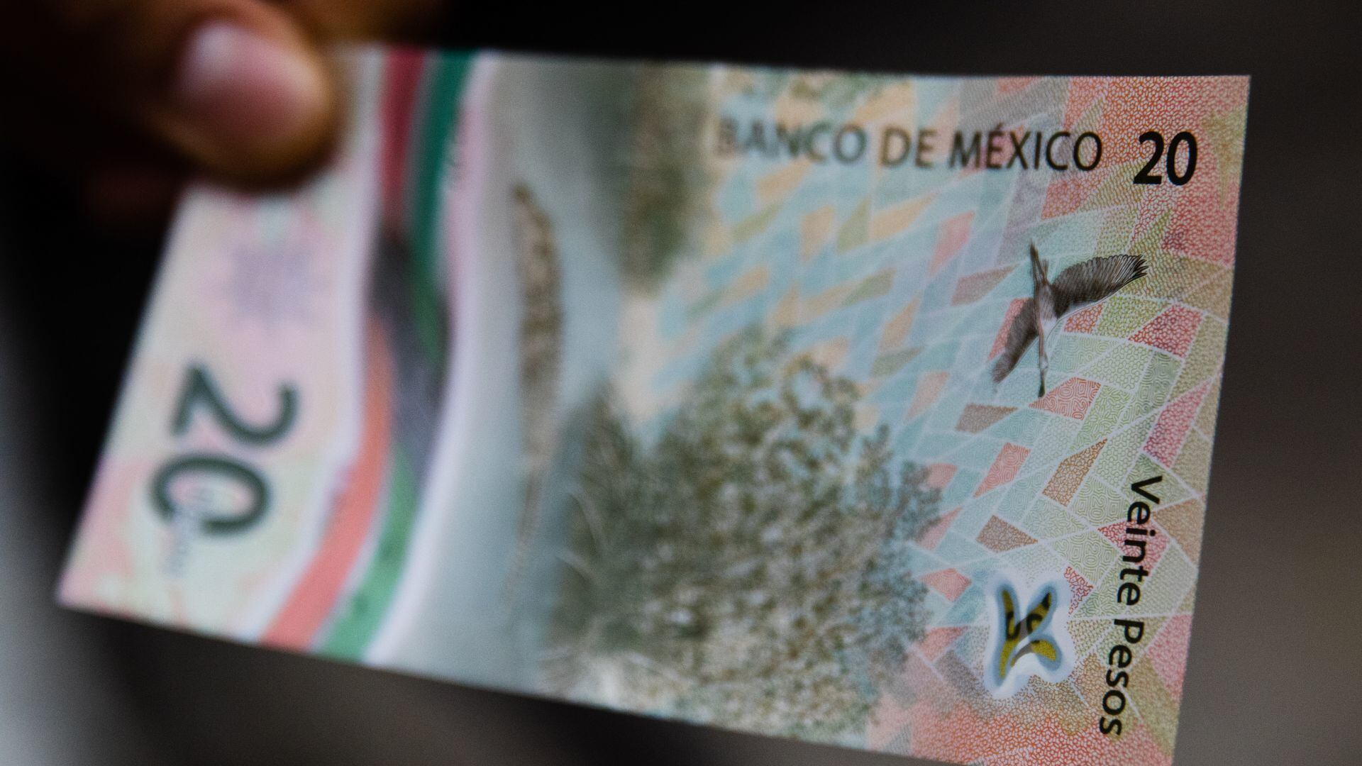 Este billete de 20 pesos con número de serie palíndromo vale 1000000 pesos
