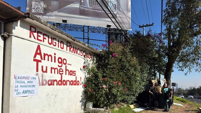 Refugio Franciscano: CDMX da seguimiento al proceso y bienestar de los animales