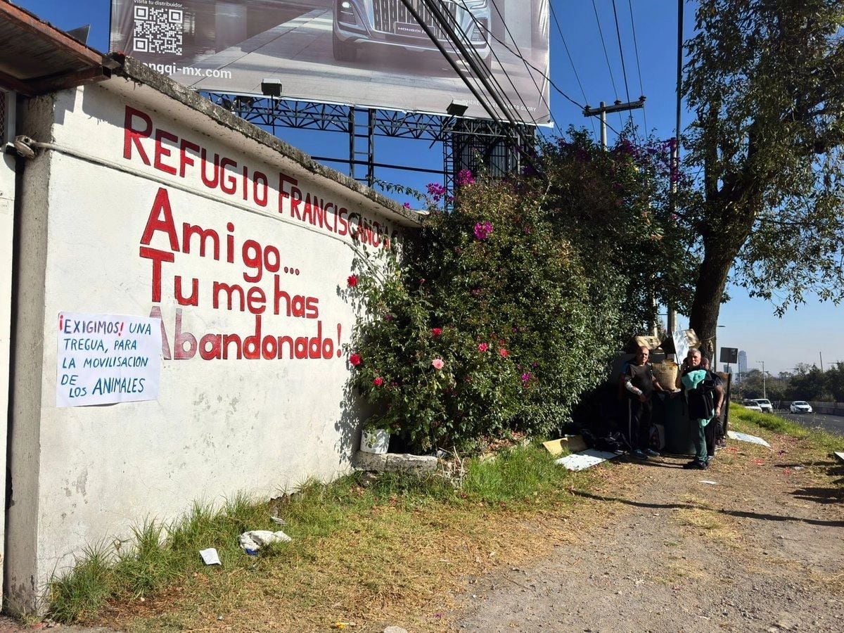 Refugio Franciscano: CDMX da seguimiento al proceso y bienestar de los animales