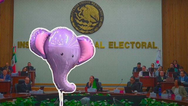 El elefante en el INE se hizo muy real