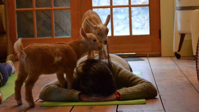 ¡Una actividad increíble!