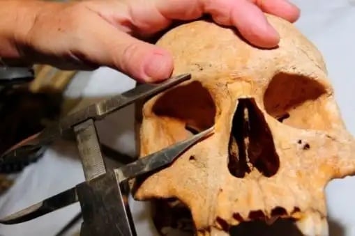 ¿Qué se celebra el 15 de febrero? Hoy es el Día de la Mujer Mexicana, el Día Mundial del Hipopótamo y el Día Mundial de la Antropología