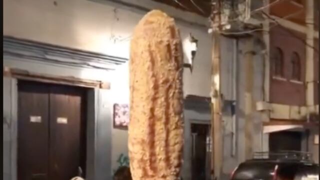 Elote gigante de Oaxaca