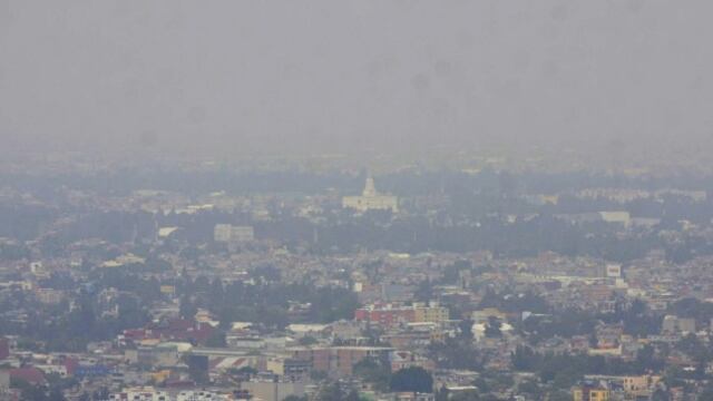 CDMX siempre en mi corazón y lo que pueda hacer por ti lo haré .