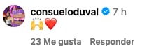 Consuelo Duval comparte un corazón a post de Daniela Romo y Tina Galindo.
