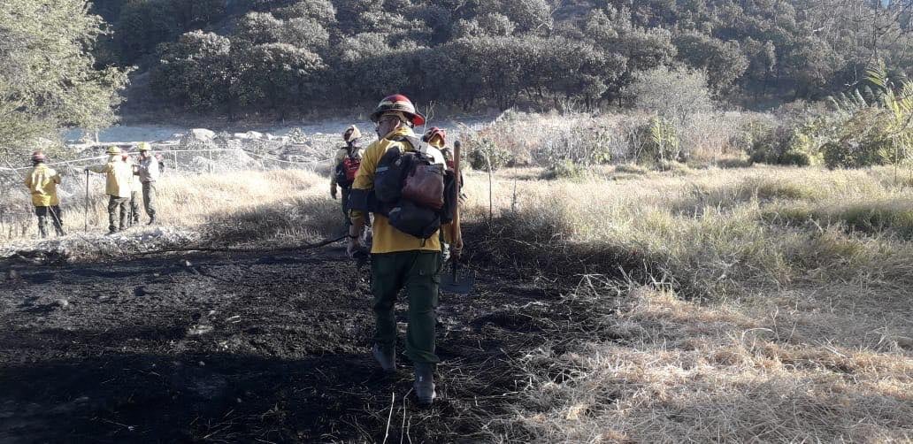 Bomberos combatiendo incendio en Bosque de la Primavera.