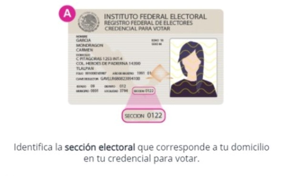 Sección electoral