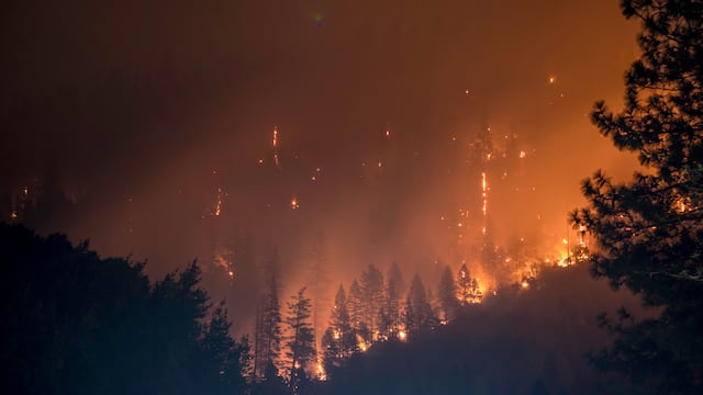 Este 18 de agosto se conmemora el Día mundial de la Prevención de Incendios Forestales
