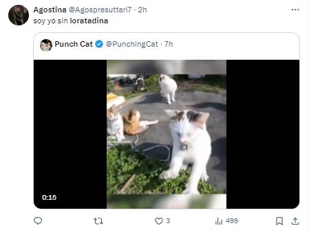 Memes de la loratadina porque es una aliado para las cenizas del Popocatépetl y la 'rara gripe'