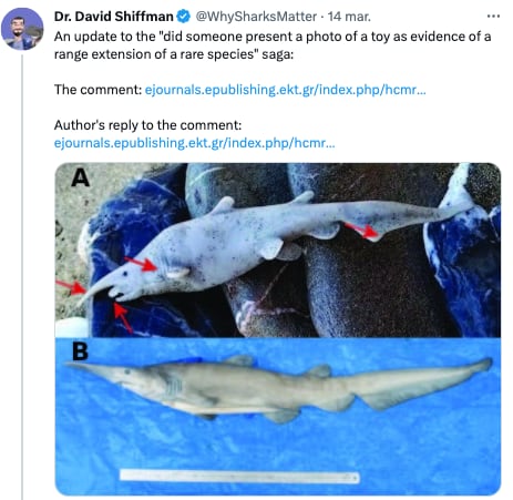 Raro tiburón, sería sólo un juguete