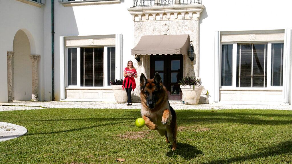 ‘Gunther’, el perrito millonario que vive en la mansión de Madonna