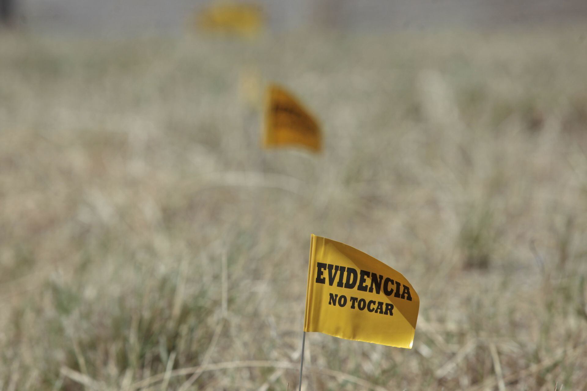 Interior del Rancho Izaguirre del CJNG en Teuchitlán.