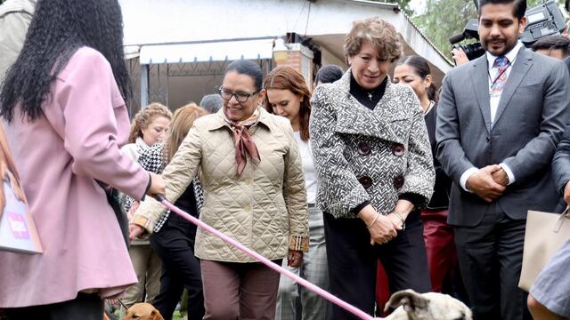 Rosa Icela Rodríguez y Delfina Gómez presentan acciones de prevención contra el maltrato animal