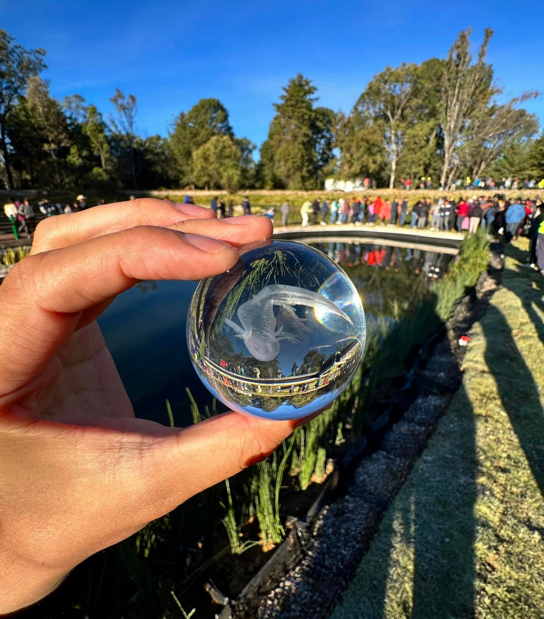Bosque del Ajolote Puebla