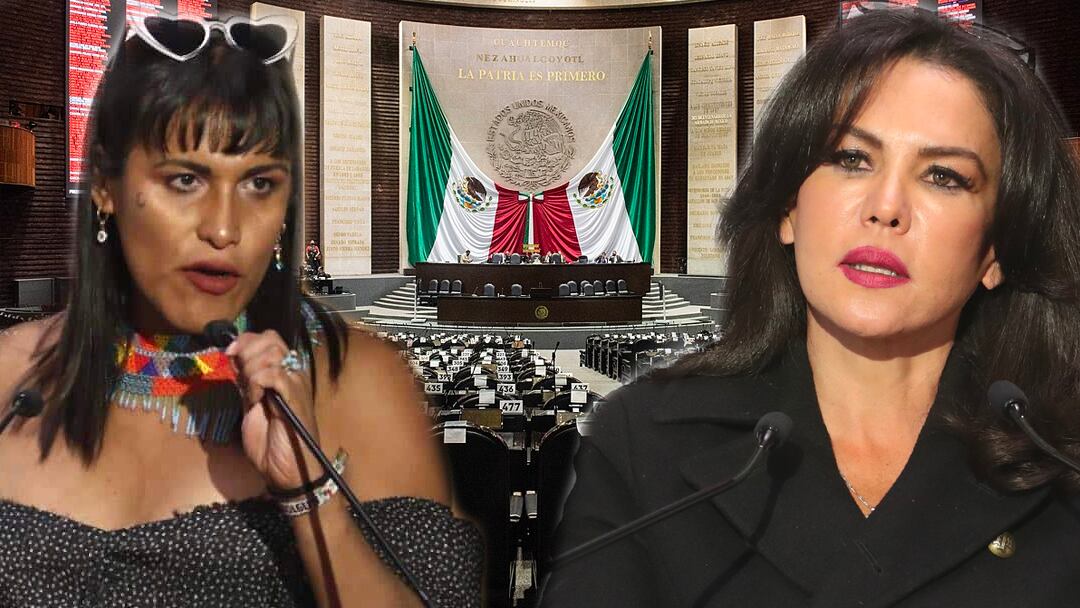 En redes sociales, se compartió un video en donde las legisladoras María Clemente García y Teresa Castell protagonizaron una penosa pela en la Cámara de Diputados