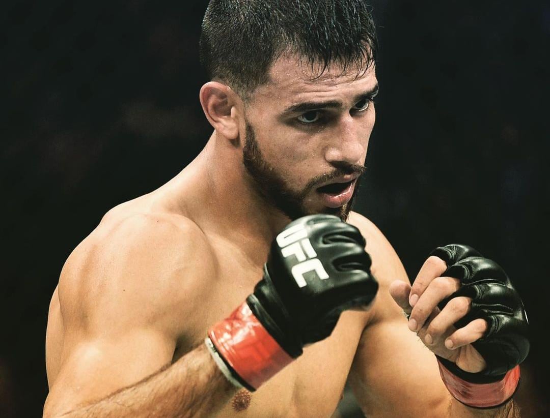 Pantera UFC