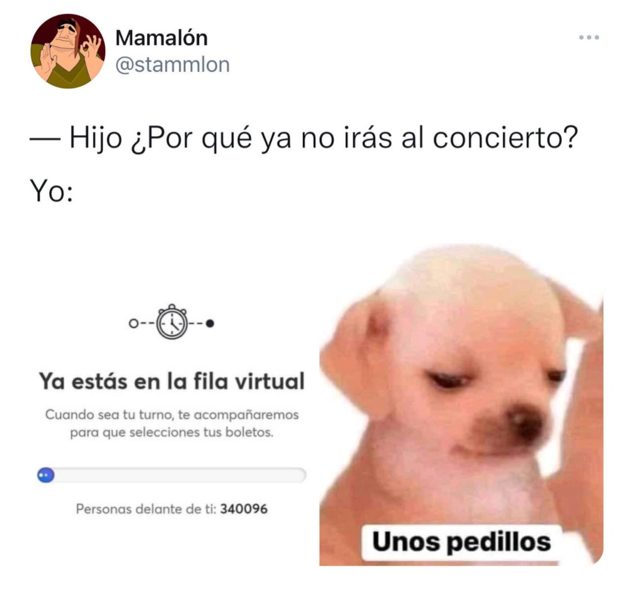 ’Kesi Kesi’ se llama el perrito del meme “unos pedillos”
