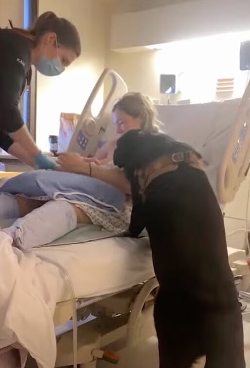 Perro acompaña a su dueña en hospital