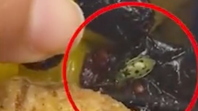 Insecto en ensalada de Costco