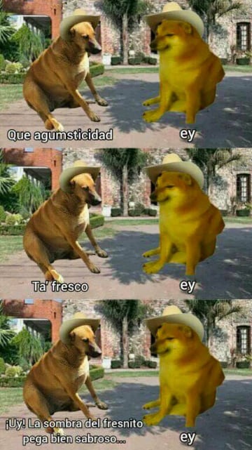 Cheems tiene versión mexicana: Cheempe