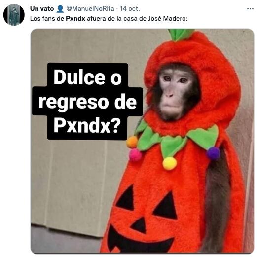 Regreso de PXNDX memes