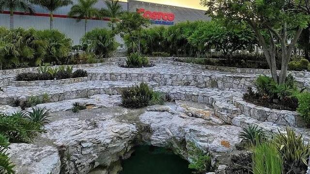 Costco cenote