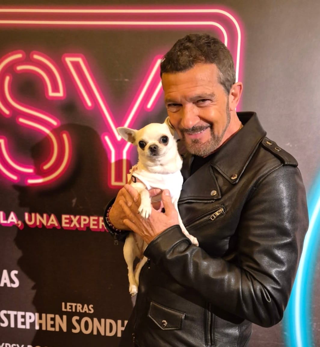 Antonio Banderas con Olivia la perraca