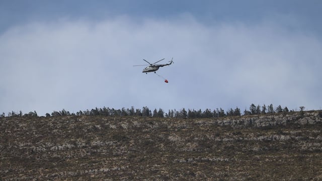 Incendio forestal en Nuevo León