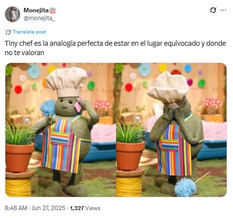 Memes de The Tiny Chef Show
