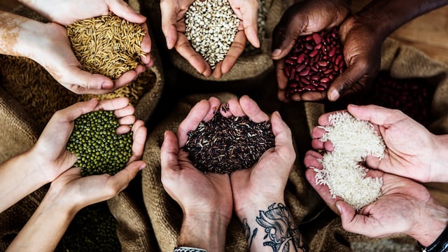 2 de febrero Día de bendición de las semillas