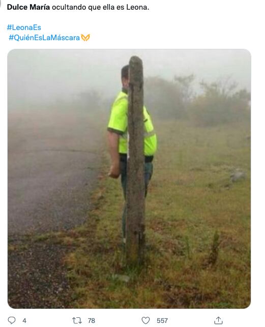 Memes de la eliminación de Dulce María como Leona en '¿Quién es la Máscara?'