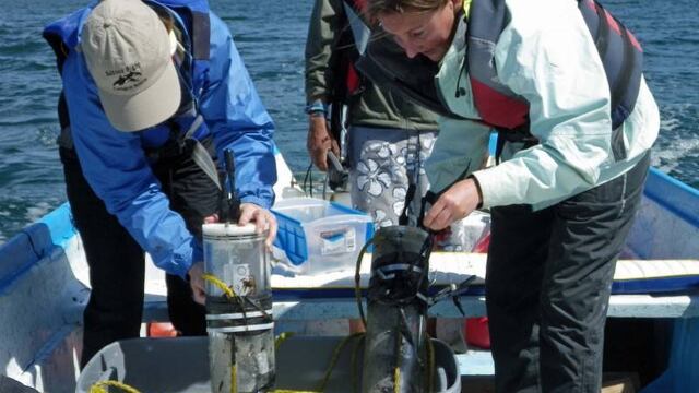 Acústica de Laguna San Ignacio