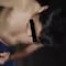 ¿Adicto a los videojuegos? Niño cree que juega ‘Free Fire’ mientras está dormido (VIDEO)