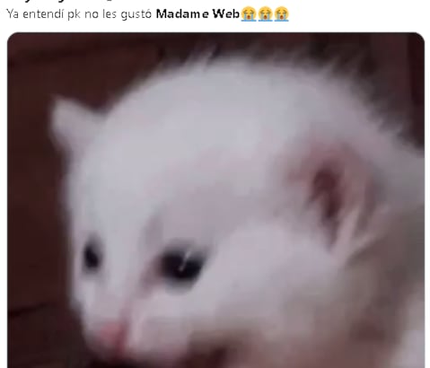 Madame Web desata memes porque es malísima.