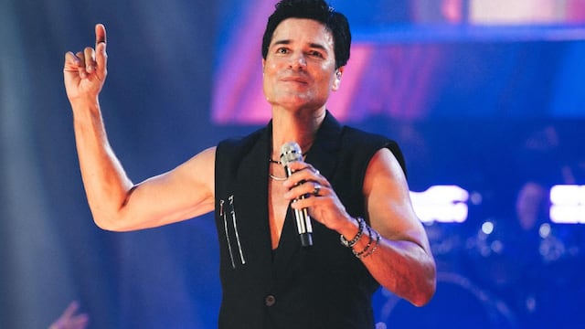Chayanne, cantante.