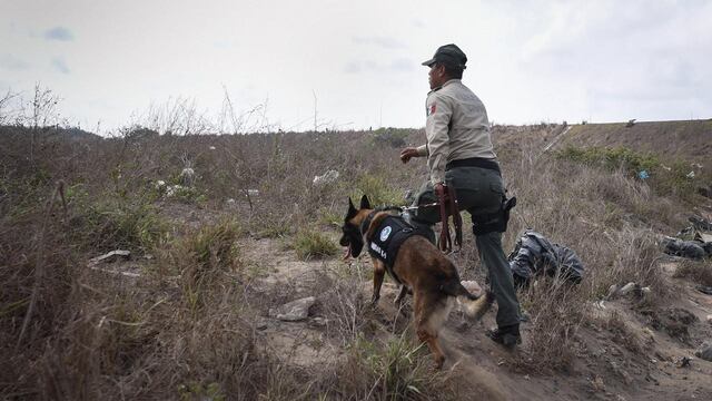 Búsqueda de fosas clandestinas en Veracruz. Seis cuerpos hallados.