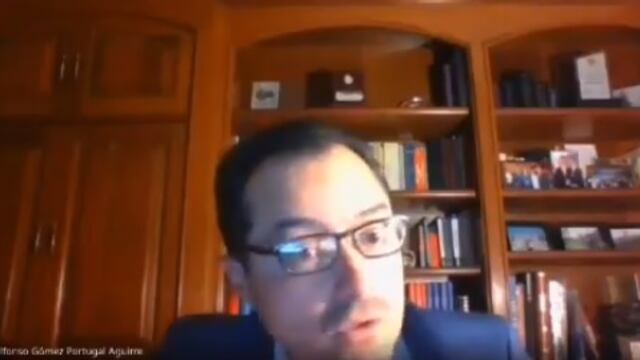 Profesor de la Universidad Panamericana