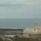 SpaceX: Starship SN10 explota tras primer aterrizaje exitoso (VIDEO)